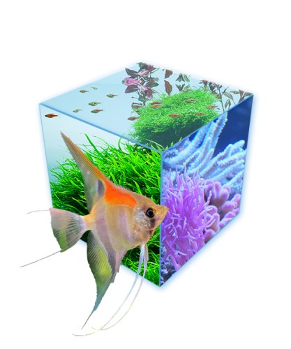 Over Easy-Life aquariumproducten