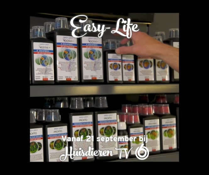 Easy Life op TV!